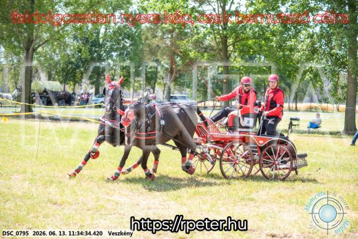 Mintakép 20260613-439