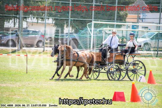 Mintakép 20260627-1268