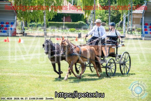 Mintakép 20260627-1277