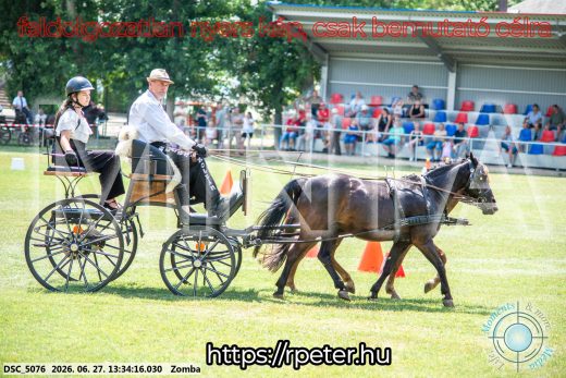 Mintakép 20260627-1288