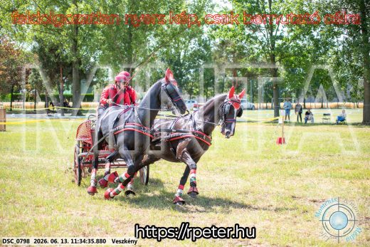 Mintakép 20260613-442