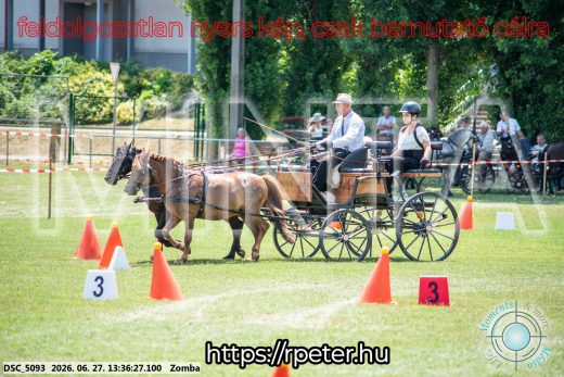 Mintakép 20260627-1294
