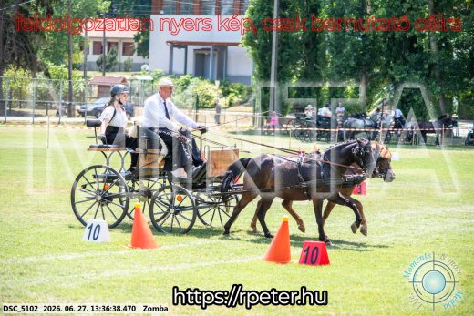 Mintakép 20260627-1298
