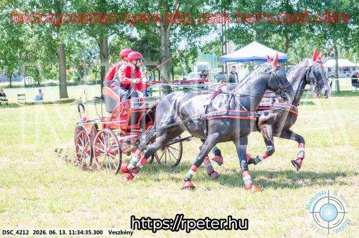 Mintakép 20260613-444