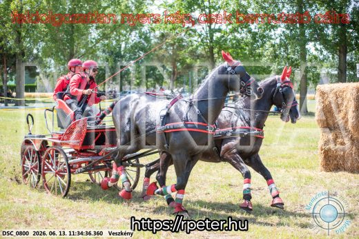 Mintakép 20260613-446