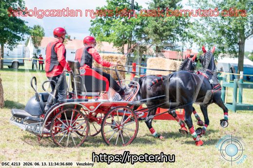 Mintakép 20260613-447