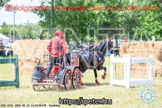 Mintakép 20260613-448