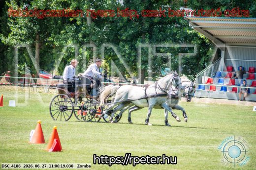 Mintakép 20260627-1352