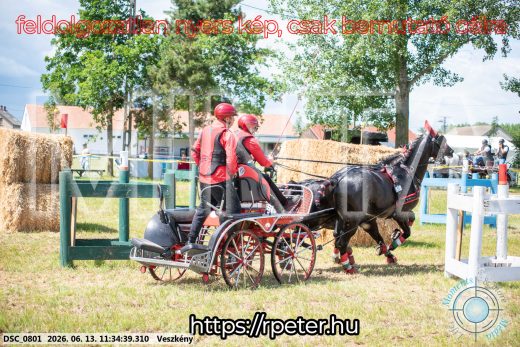 Mintakép 20260613-449