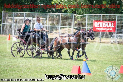20260627-130949-DSC_4841.jpg