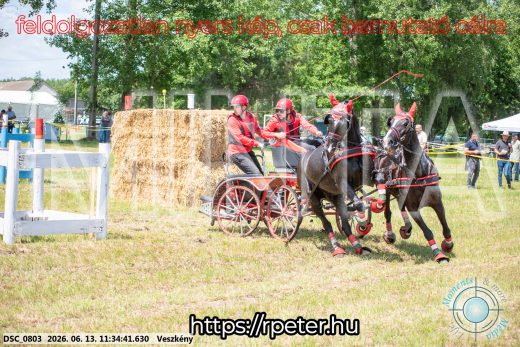 Mintakép 20260613-452