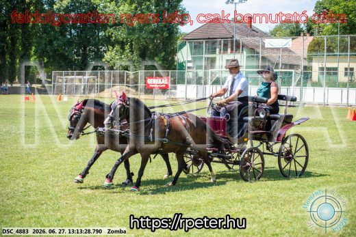 Mintakép 20260627-1393