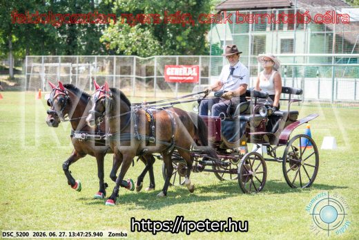 Mintakép 20260627-1395