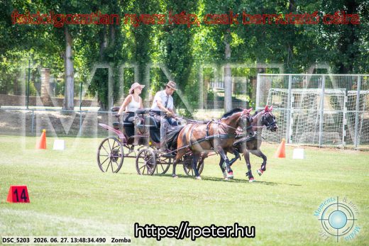 Mintakép 20260627-1398