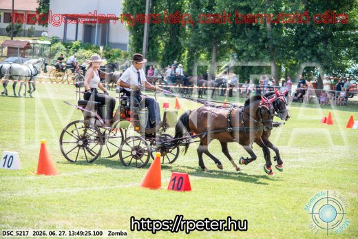 Mintakép 20260627-1408