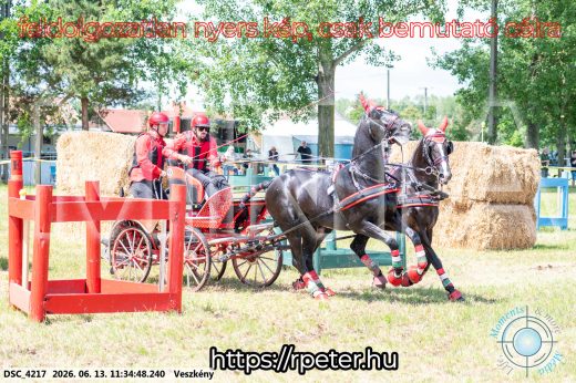 Mintakép 20260613-456