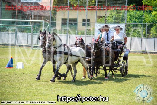 Mintakép 20260627-1442
