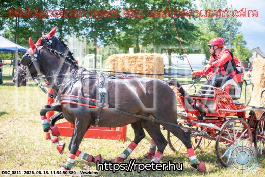 Mintakép 20260613-459