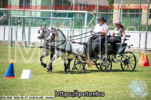 Mintakép 20260627-1459