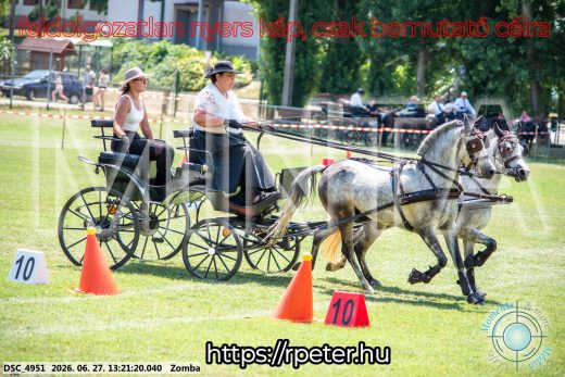 Mintakép 20260627-1462