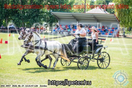 Mintakép 20260627-1463