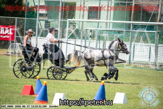 Mintakép 20260627-1464