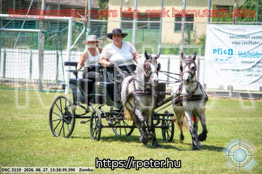 Mintakép 20260627-1469