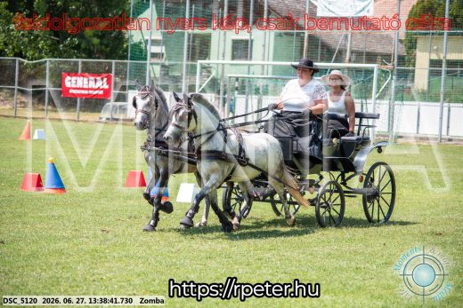 Mintakép 20260627-1470
