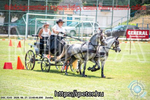 Mintakép 20260627-1478
