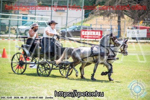 Mintakép 20260627-1480