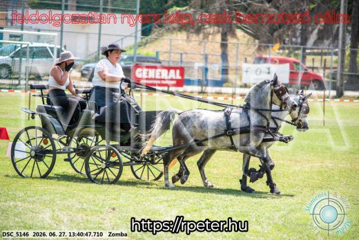 Mintakép 20260627-1481