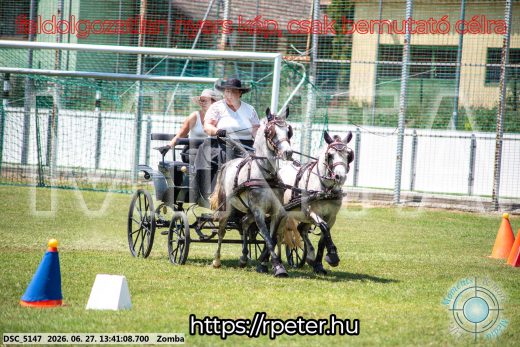Mintakép 20260627-1482
