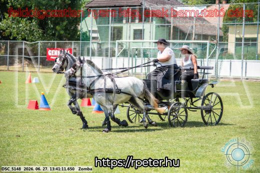 Mintakép 20260627-1483