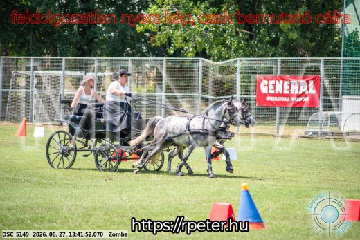 Mintakép 20260627-1484