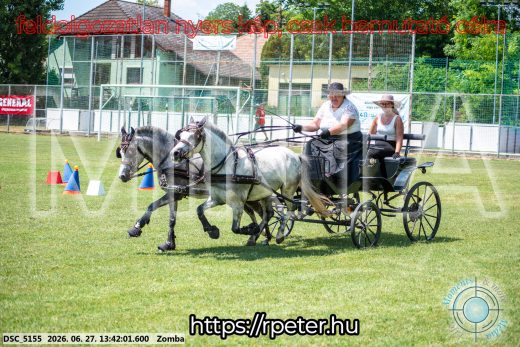 Mintakép 20260627-1487