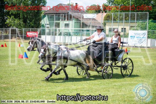 Mintakép 20260627-1488