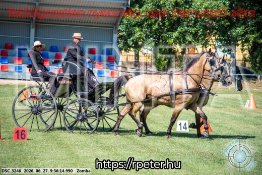 Mintakép 20260627-1496