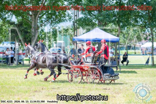 Mintakép 20260613-463