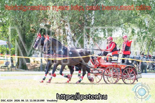 Mintakép 20260613-466
