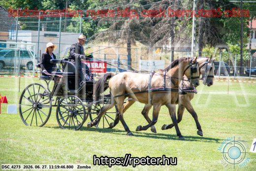 Mintakép 20260627-1534