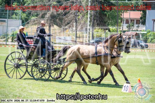 Mintakép 20260627-1535