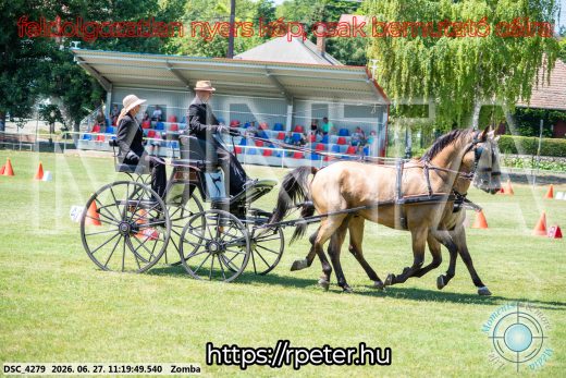 Mintakép 20260627-1537