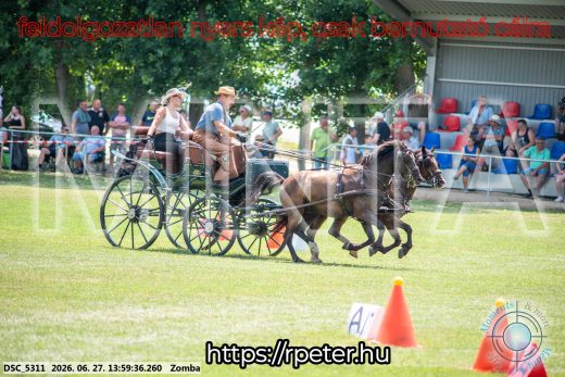 20260627-135936-DSC_5311.jpg