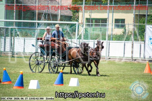 20260627-130242-DSC_4764.jpg