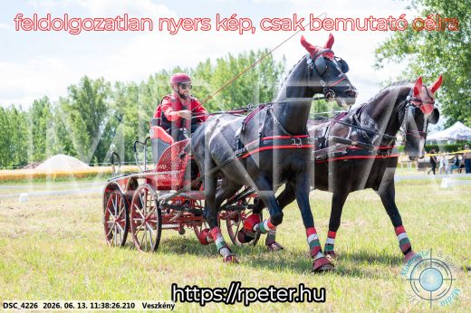 Mintakép 20260613-468