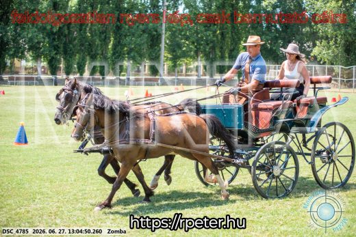 Mintakép 20260627-1557
