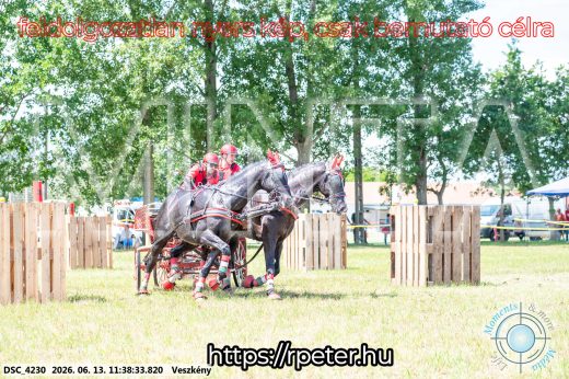 Mintakép 20260613-470