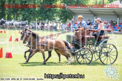 Mintakép 20260627-1572