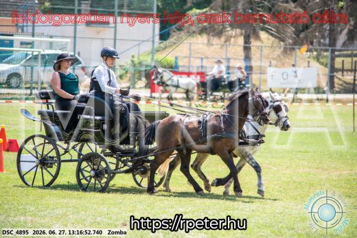 Mintakép 20260627-1587