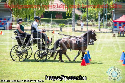 Mintakép 20260627-1589